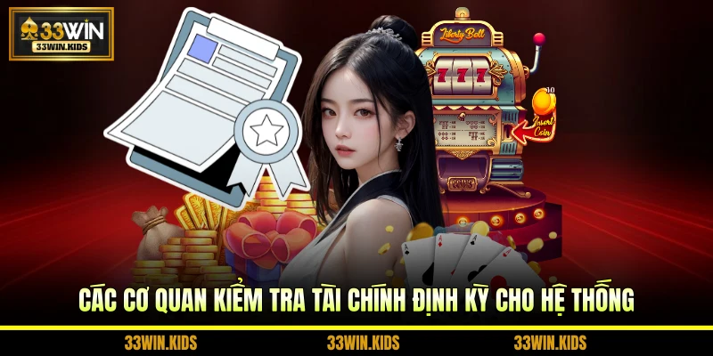 Các cơ quan kiểm tra tài chính định kỳ cho hệ thống